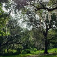 Florida Baptist Encampment ico