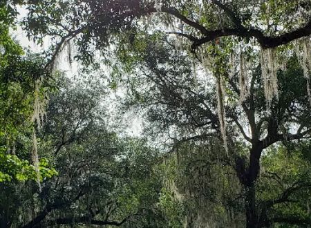 Florida Baptist Encampment