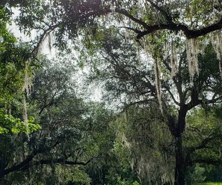 Florida Baptist Encampment