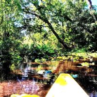 Kings Landing Campground ico