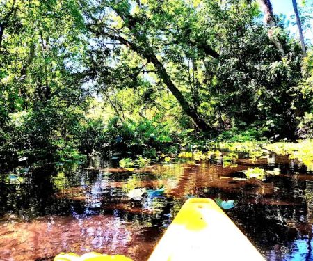 Kings Landing Campground