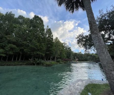 Kelly Park Campground