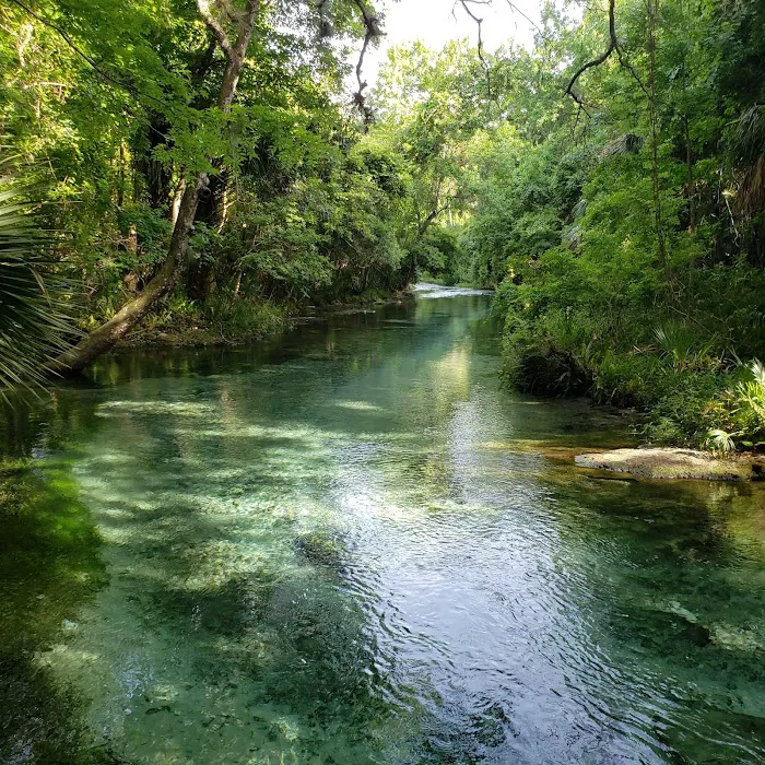Kelly Park Campground Picture 7