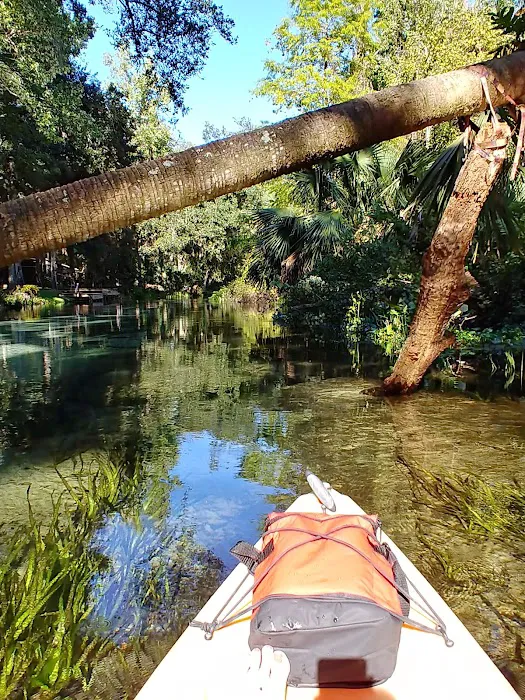 Kelly Park Campground Picture 4
