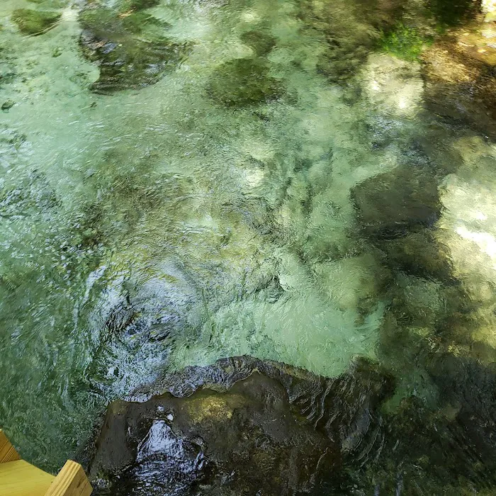 Kelly Park Campground Picture 3