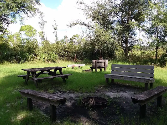 Camp Cozy Picture 5