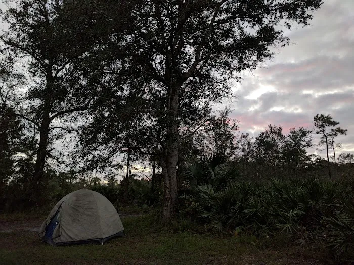 Camp Cozy Picture 2