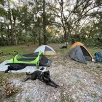 Camp Cozy ico