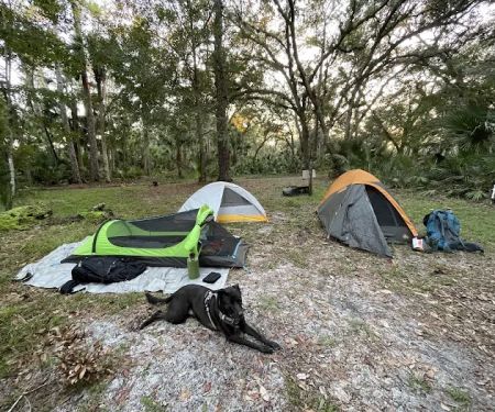 Camp Cozy