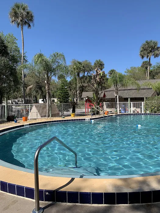 New Smyrna Beach RV Park Picture 4