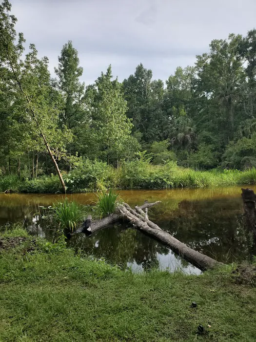 Indian Mound Camp Ground Picture 5