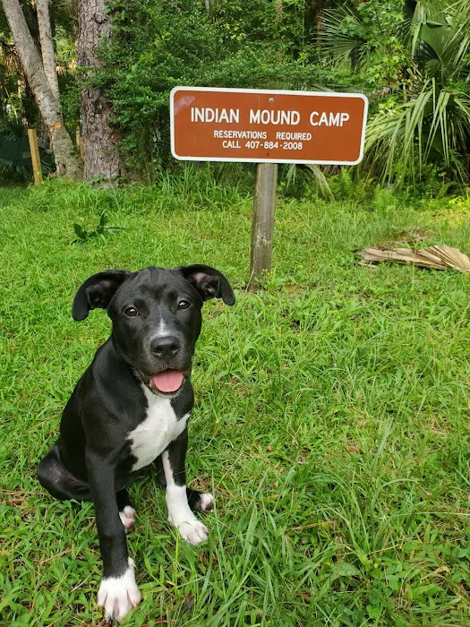 Indian Mound Camp Ground Picture 6