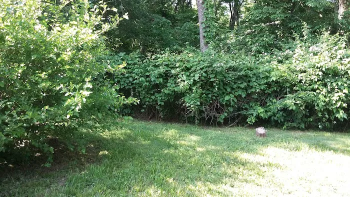 Doc's Park Picture 2