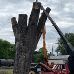Wagon Wheel Mobile Park, LLC