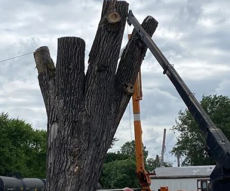 Wagon Wheel Mobile Park, LLC