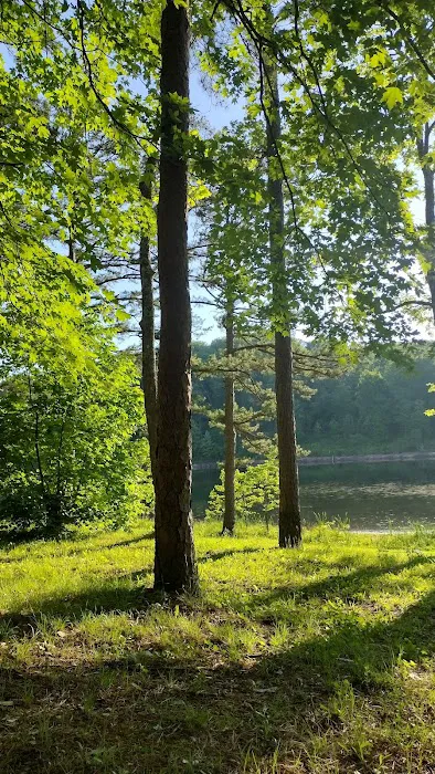 Loggers Lake Campground Picture 6