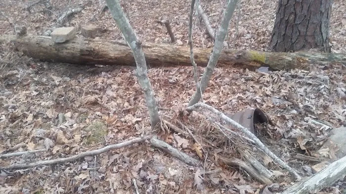 Little Scotia Campground Picture 2