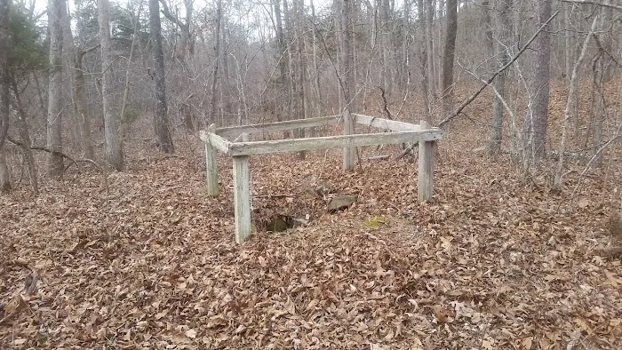 Little Scotia Campground Picture 7