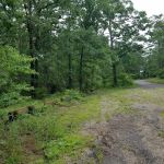 Little Scotia Campground