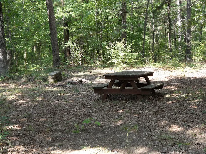 Little Scotia Campground Picture 3