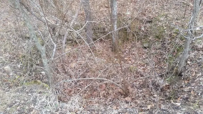 Little Scotia Campground Picture 5