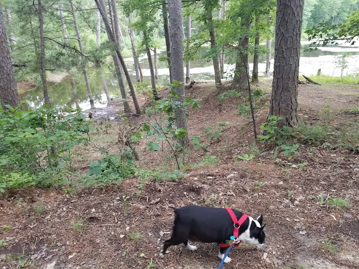 Little Scotia Campground Picture 10