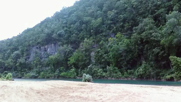 Logyard Campground Picture 1