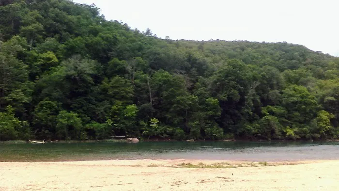 Logyard Campground Picture 6