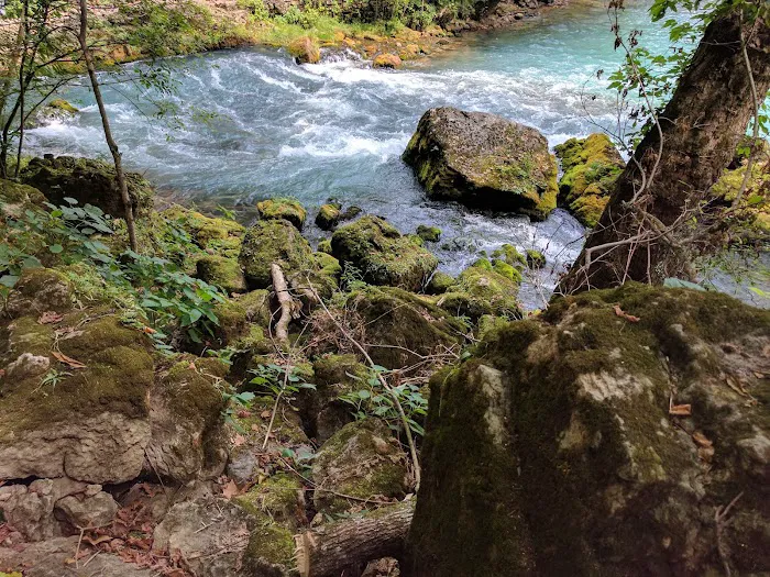 Big Spring River Camp Picture 7