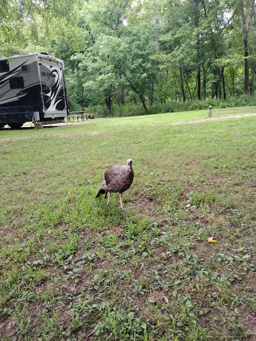 Big Spring Campground Picture 2
