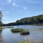 Hickory Landing