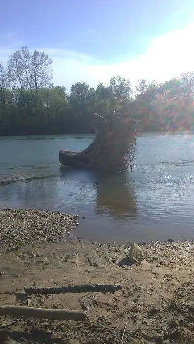 Float Camp Picnic Area Picture 8