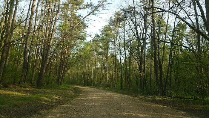 Deer Leap Campground Picture 1