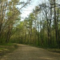 Deer Leap Campground ico