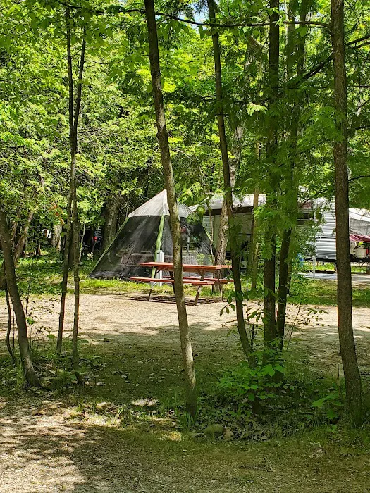 Door County Jellystone Park in Sturgeon Bay Picture 6