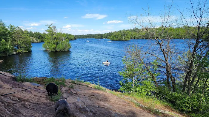 Twin Bridge Park Campground Picture 4