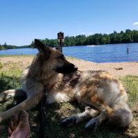 Twin Bridge Park Campground ico