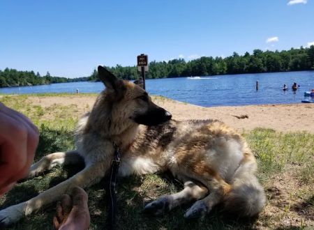 Twin Bridge Park Campground