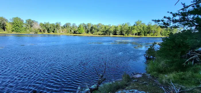 Peshtigo River Kayak Campsite Picture 2