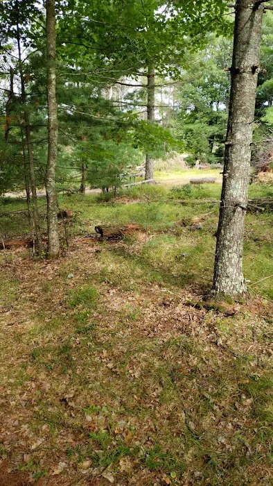 Peshtigo River Kayak Campsite Picture 8