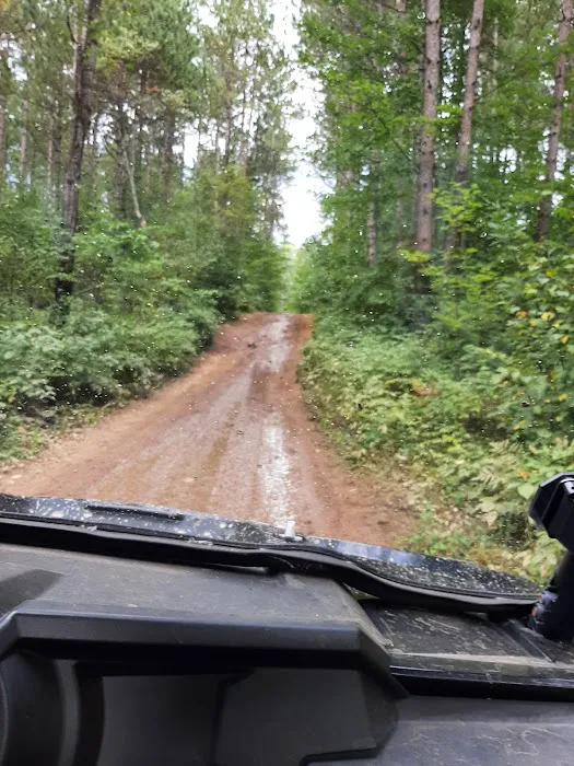 Friess Forest Picture 2