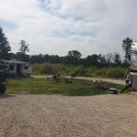 Friess Forest