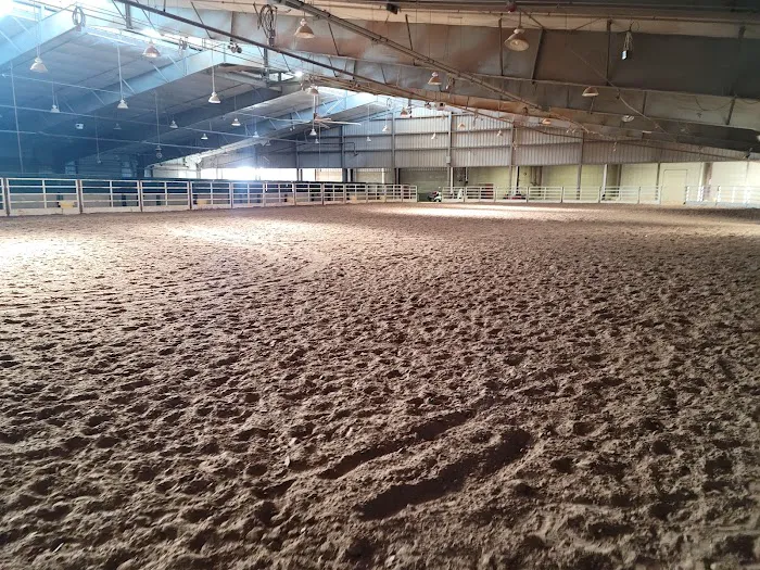 Expo Square RV Park Picture 3