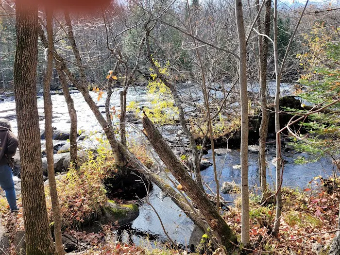 Goodman Park Campground Picture 3