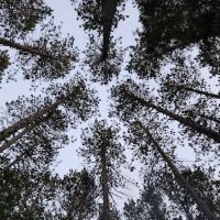 Goodman Park Campground ico
