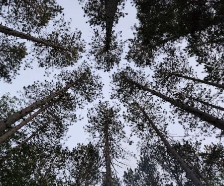 Goodman Park Campground