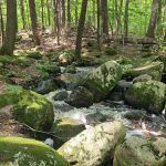 McClintock Campground