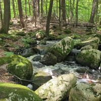 McClintock Campground ico