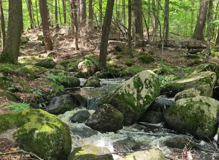 McClintock Campground