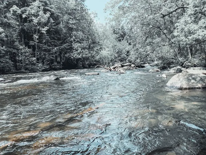McClintock Campground Picture 6